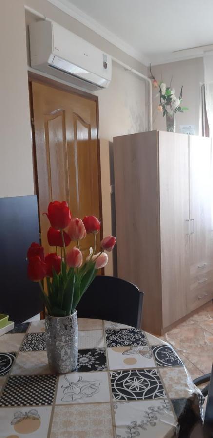 Flora Apartman Gyula Ngoại thất bức ảnh
