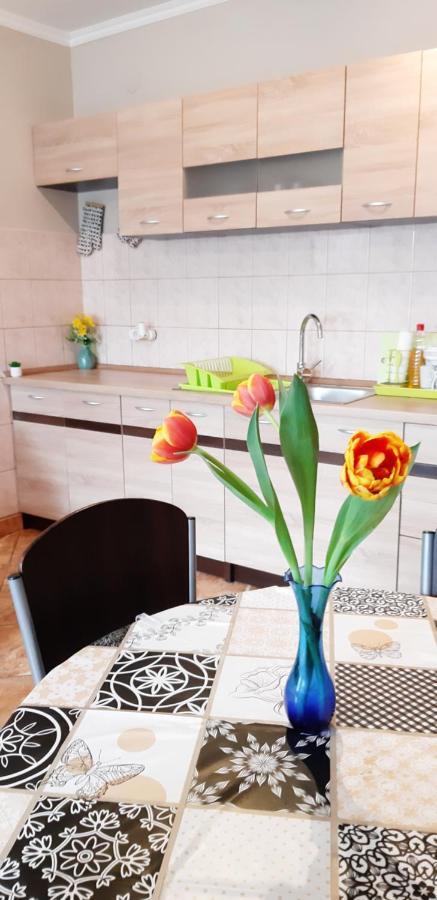 Flora Apartman Gyula Ngoại thất bức ảnh